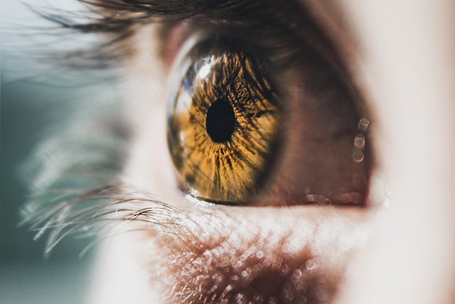 Bondi Behavioural Optometrist Advises On Early Eyesight Problem Detection